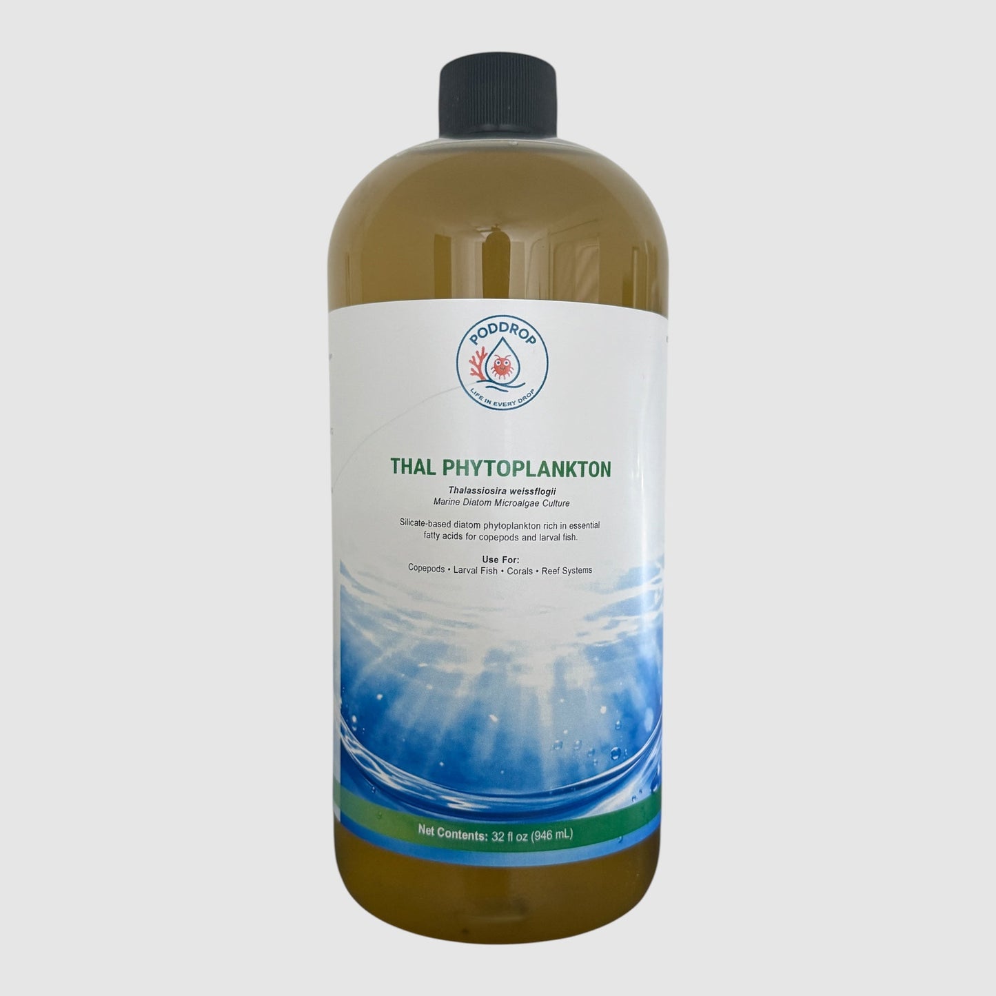 Thalassiosira weissflogii Phytoplankton Culture