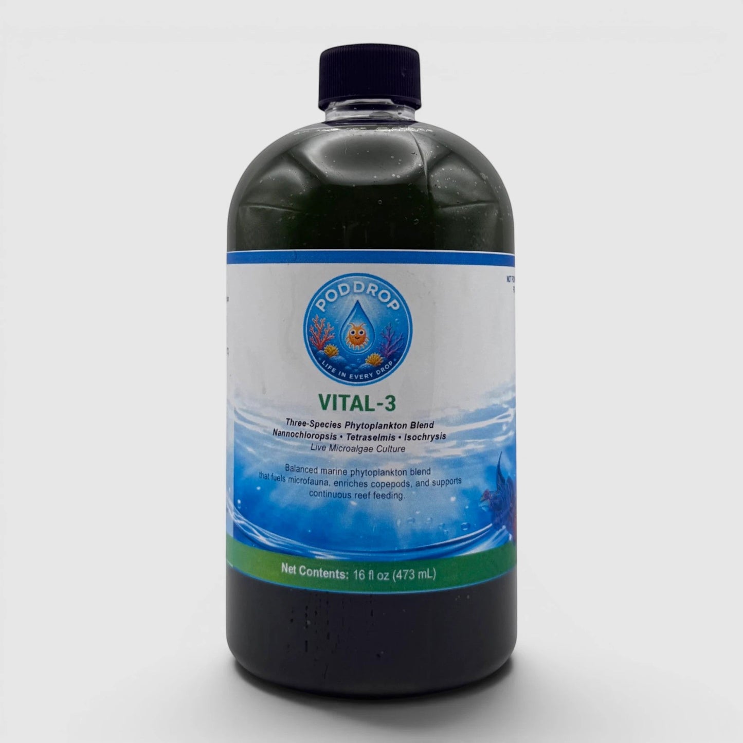 VITAL-3 | 3-species Phytoplankton Culture Blend