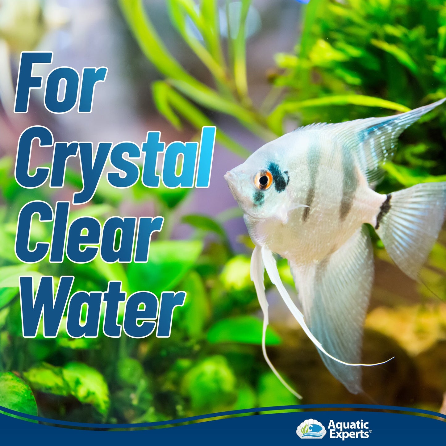 Aquarium Clarity Pro Bundle – Cloudy Water & Debris Removal with Filter Pads | Aquatic Experts