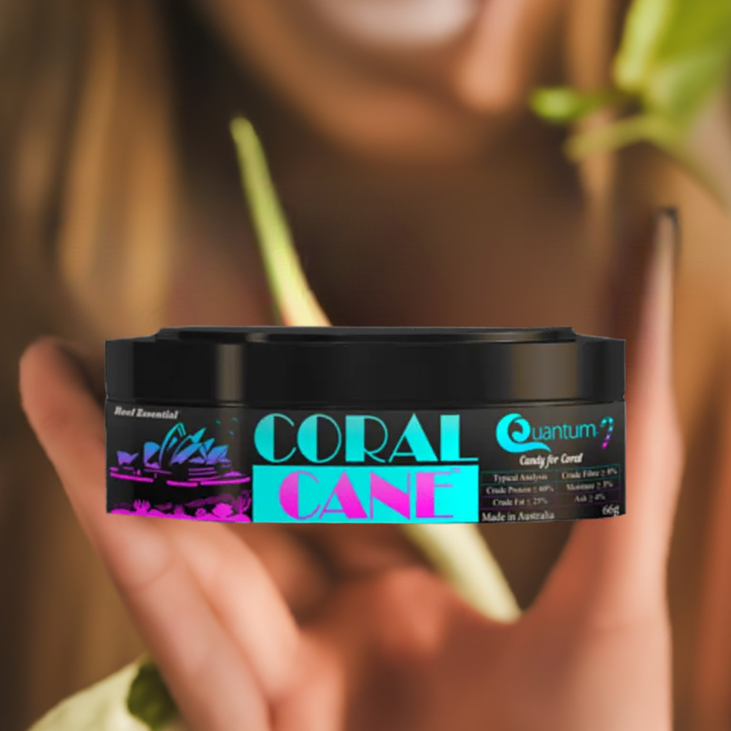 coral-cane