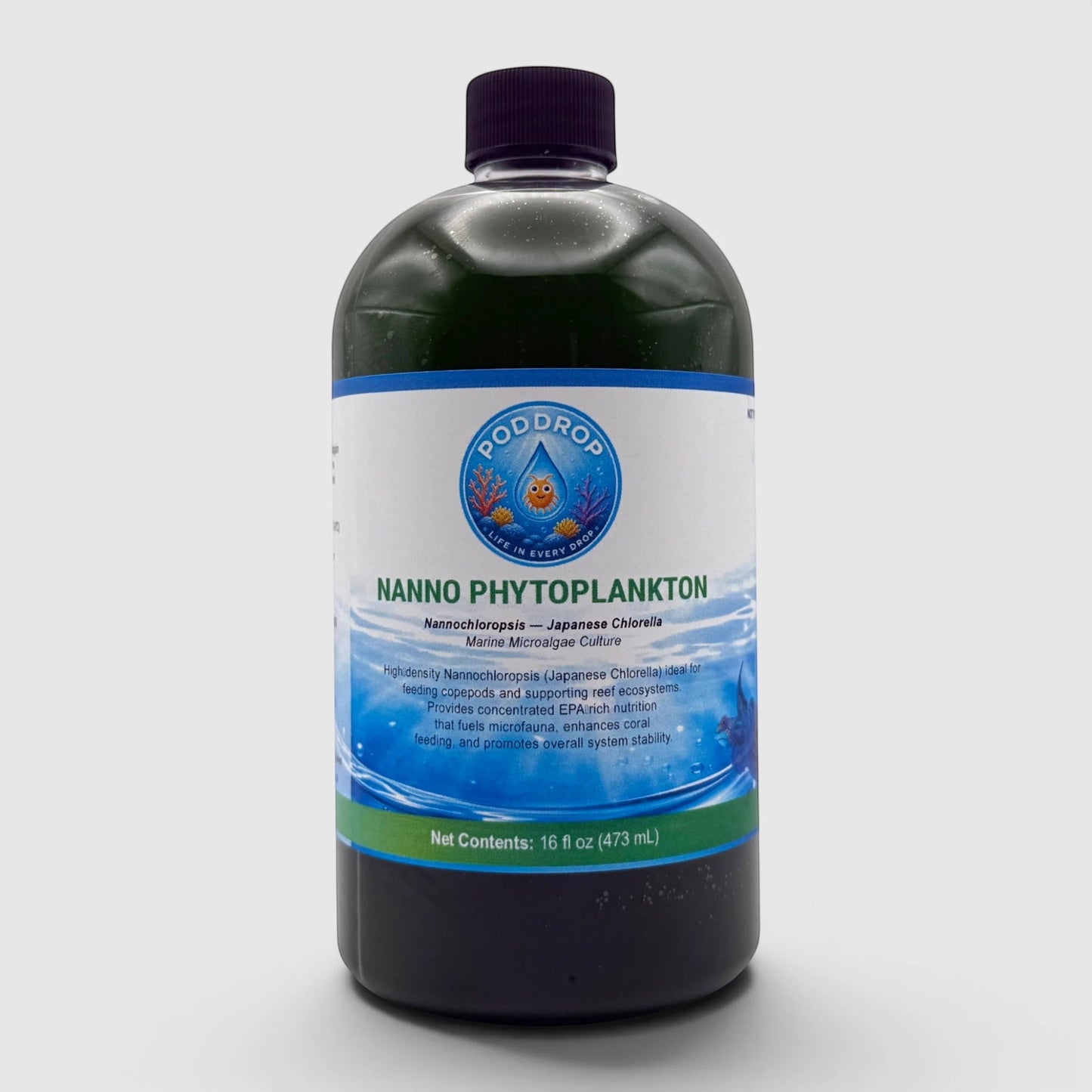 Nanochloropsis Japanese Chlorella Phytoplankton Culture