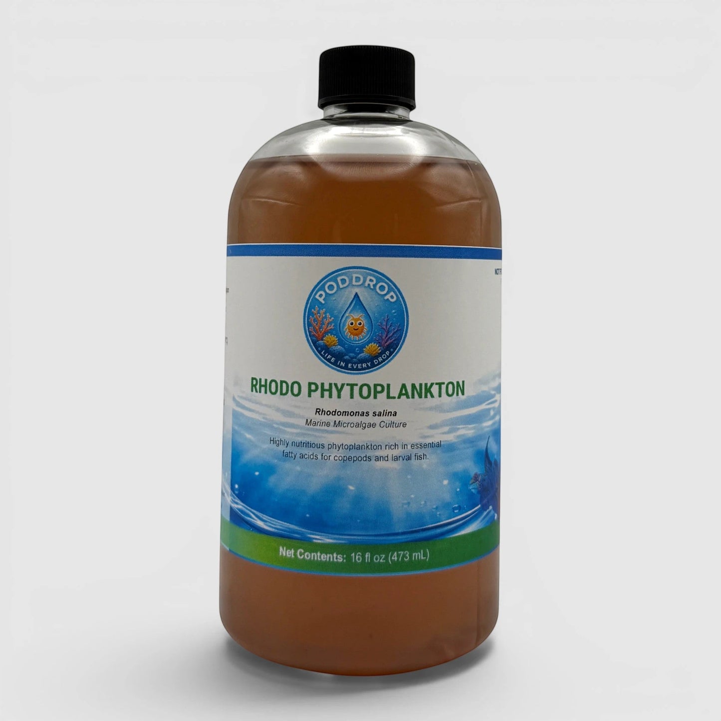 Rhodomonas salina Phytoplankton Culture